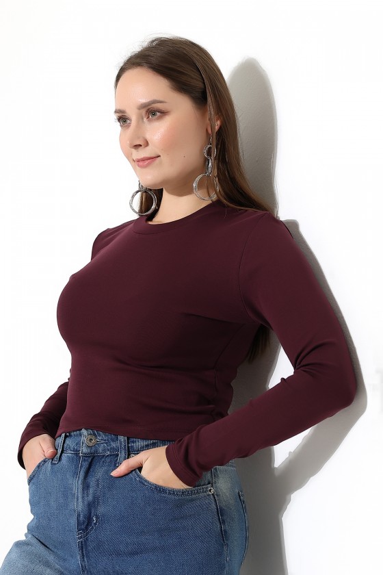 Bisiklet Yaka Penye Kompakt Esnek Kumaş Uzun Kol Bluz 21651 MÜRDÜM