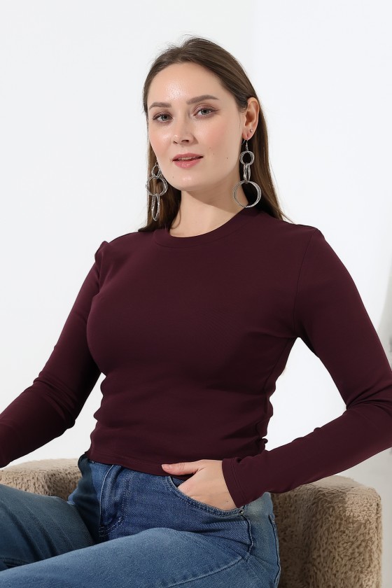 Bisiklet Yaka Penye Kompakt Esnek Kumaş Uzun Kol Bluz 21651 MÜRDÜM